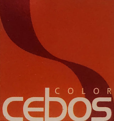 Venetian Plaster Starter Kit by Cebo